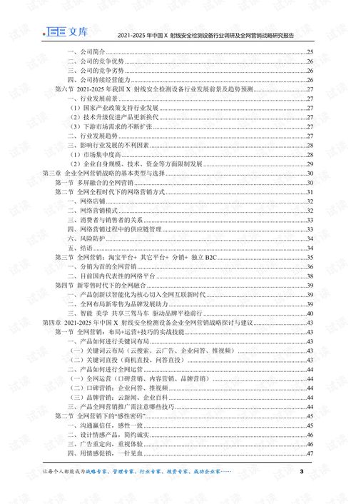 2021 2025年中国X射线安全检测设备行业调研及全网营销战略研究报告.pdf 制造文档类资源 CSDN下载